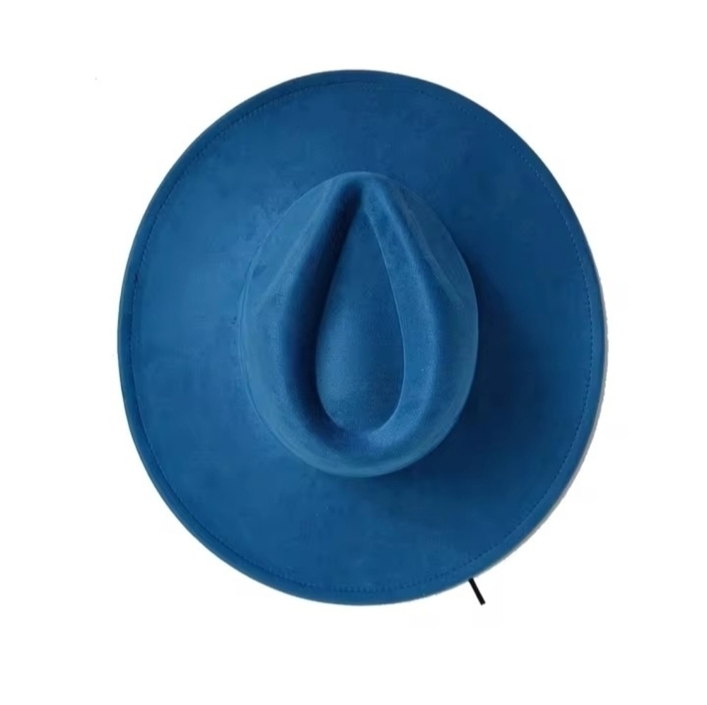 Brand New Suede top hat fedora (Smoke & Pet free home)